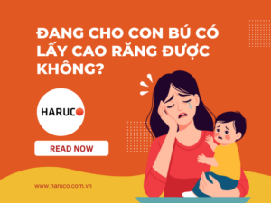 may-lay-cao-rang-haruco