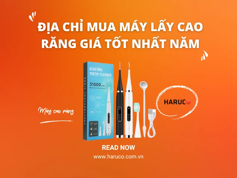 may-lay-cao-rang-haruco
