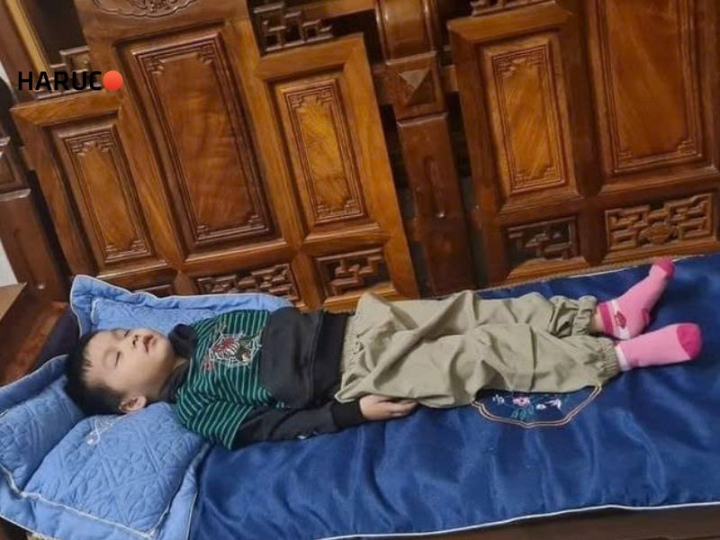 tham-ngai-cuu-dong-y-haruco