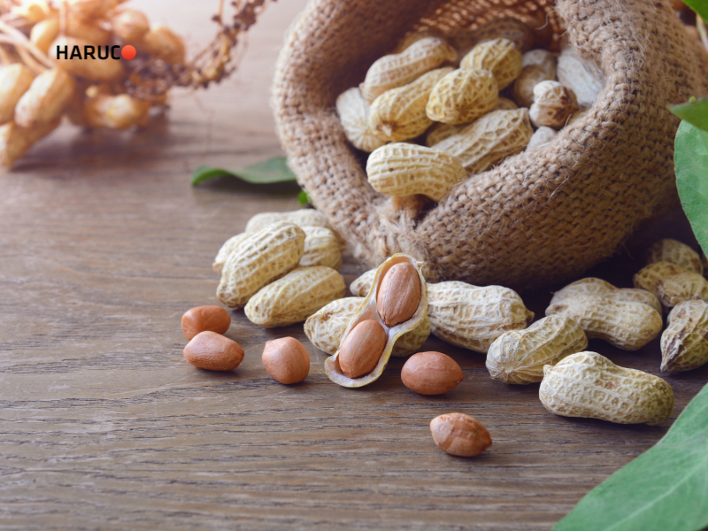 may-lay-cao-rang-haruco