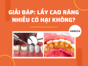 may-lay-cao-rang-haruco