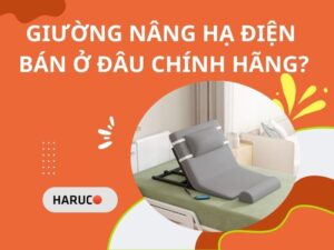 dem-nang-ha-tu-dong-haurco