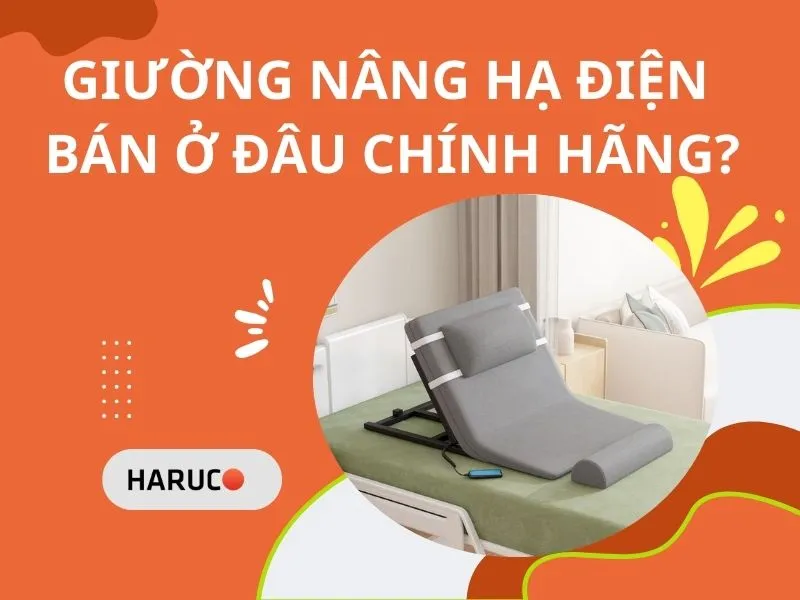 dem-nang-ha-tu-dong-haurco