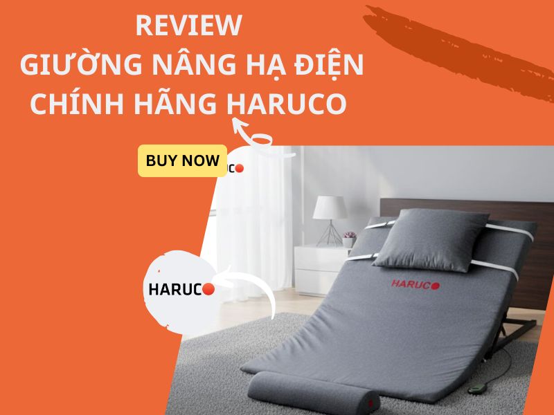 Giường nâng hạ điện chính hãng Haruco có nên đầu tư?