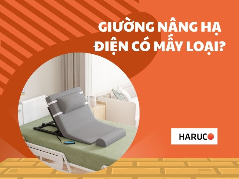 Giường nâng hạ điện có mấy loại? Phân loại phổ biến hiện nay