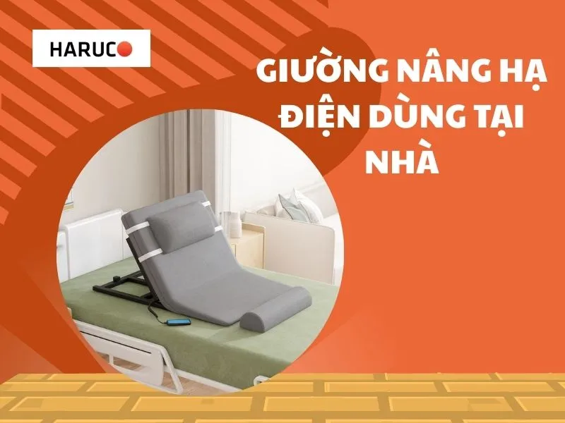 dem-nang-ha-tu-dong-haurco