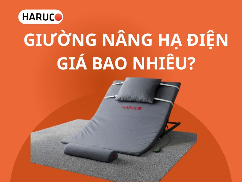 Giường nâng hạ điện giá bao nhiêu?