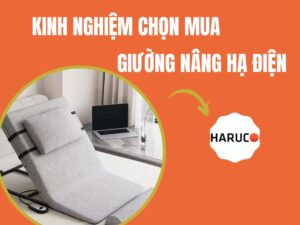 dem-nang-ha-tu-dong-haruco