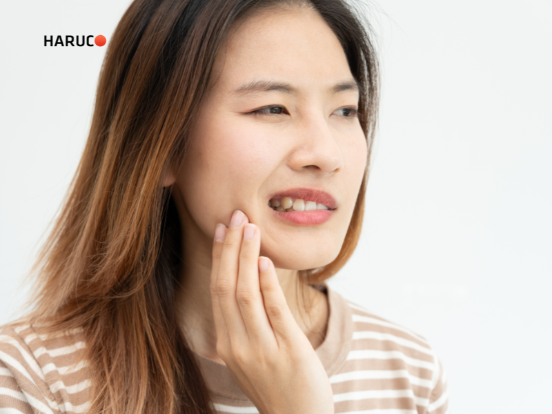 may-lay-cao-rang-haruco