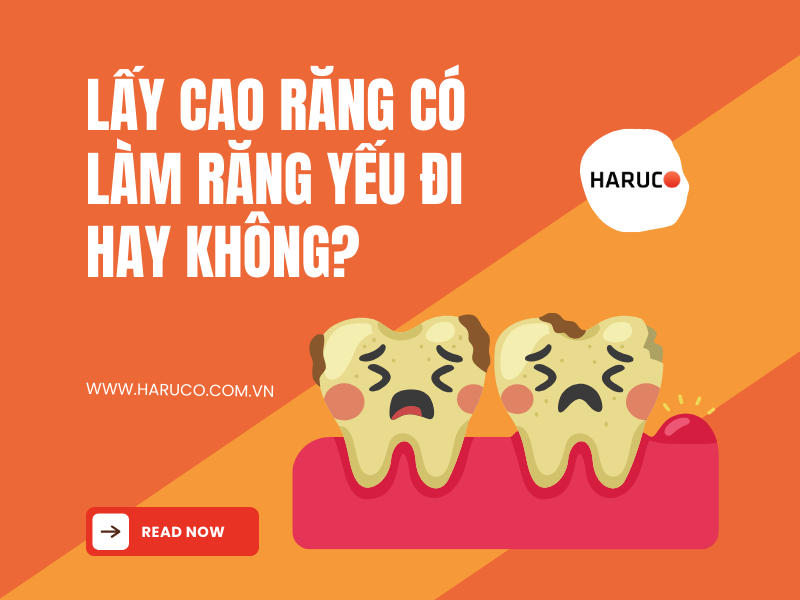 may-lay-cao-rang-haruco