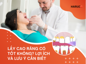 may-lay-cao-rang-haruco