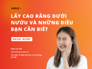 may-lay-cao-rang-haruco