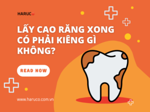 may-lay-cao-rang-haruco