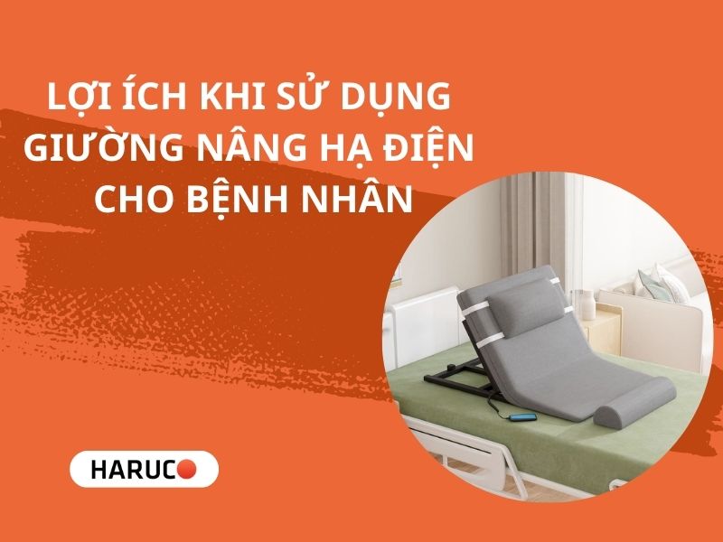 dem-nang-ha-tu-dong-haurco