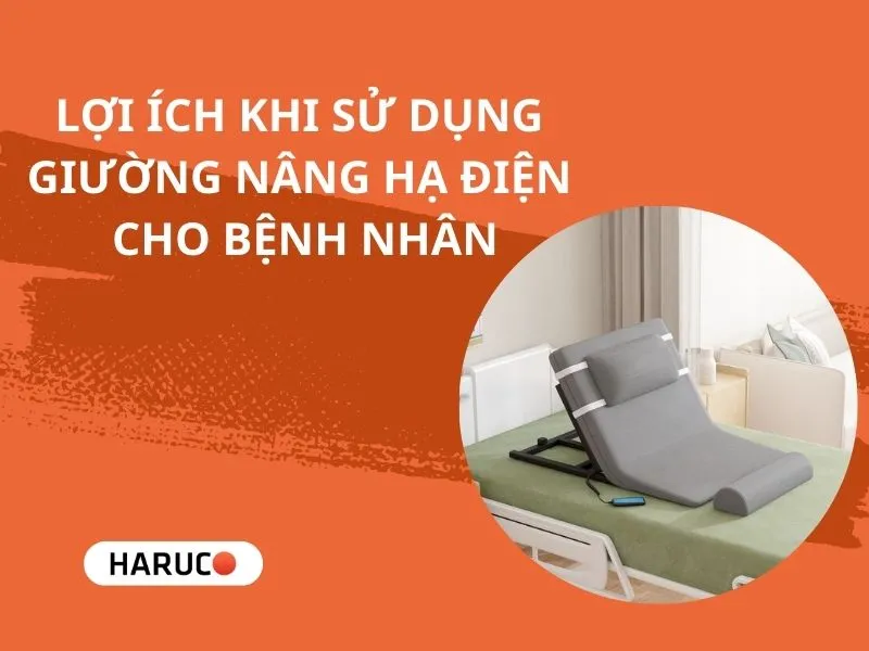 dem-nang-ha-tu-dong-haurco