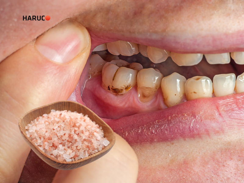 may-lay-cao-rang-haruco