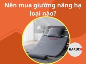 dem-nang-ha-tu-dong-haurco