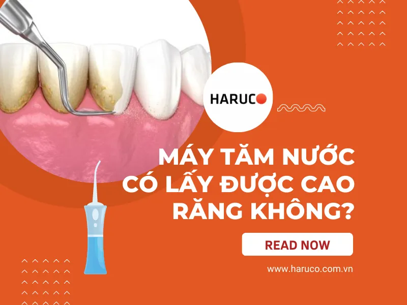 may-lay-cao-rang-haruco