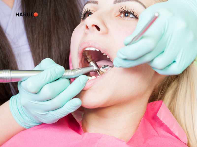 may-lat-cao-rang-haruco