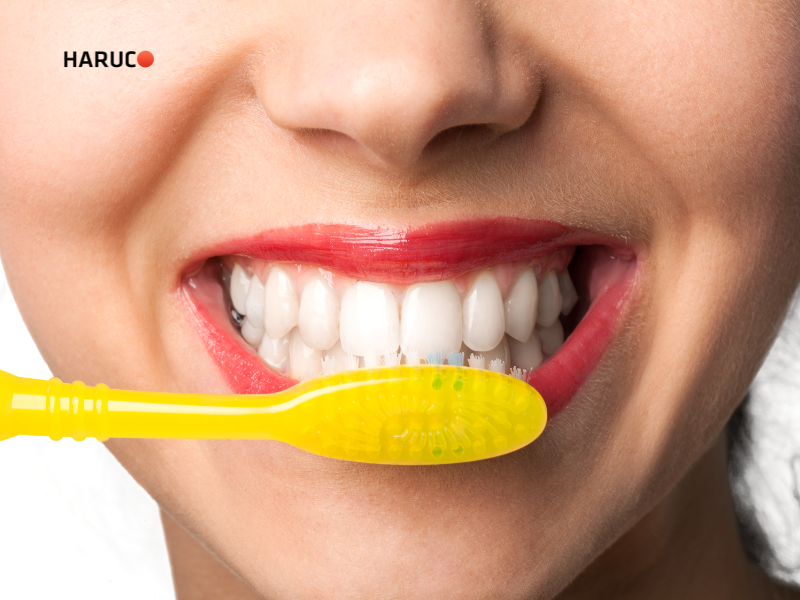 may-lay-cao-rang-haruco