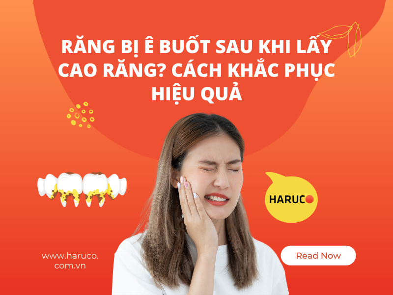 may-lay-cao-rang-haruco