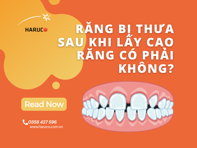 may-lay-cao-rang-haruco