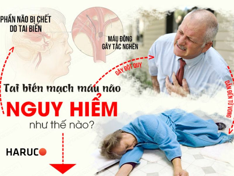 dem-nang-ha-tu-dong-haurco