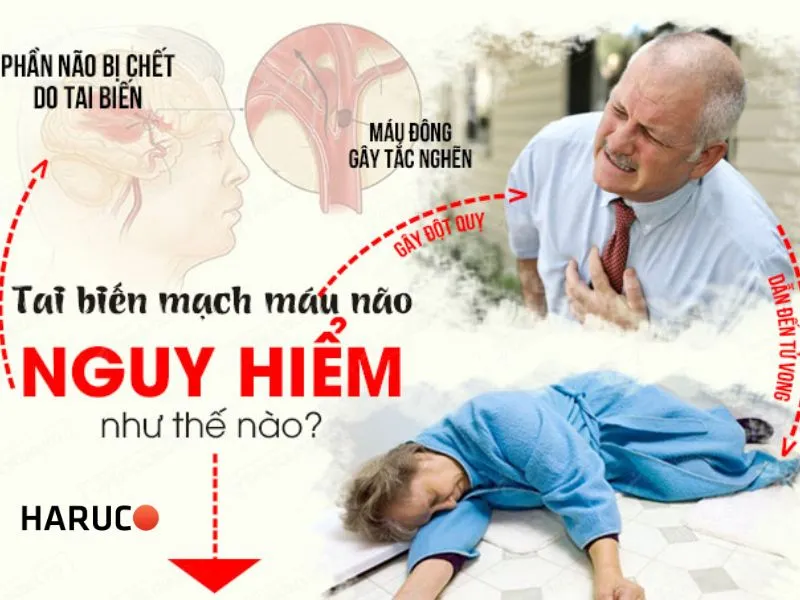 dem-nang-ha-tu-dong-haurco