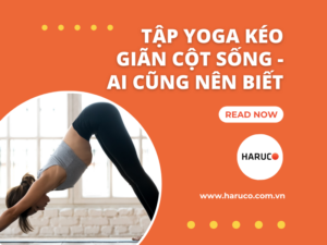 dung-cu-keo-gian-cot-song