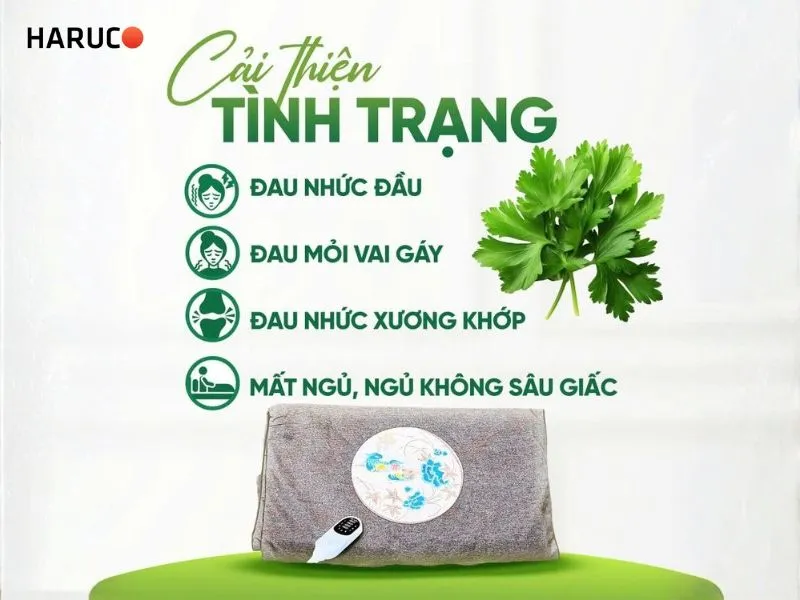 tham-ngai-cuu-dong-y-haruco