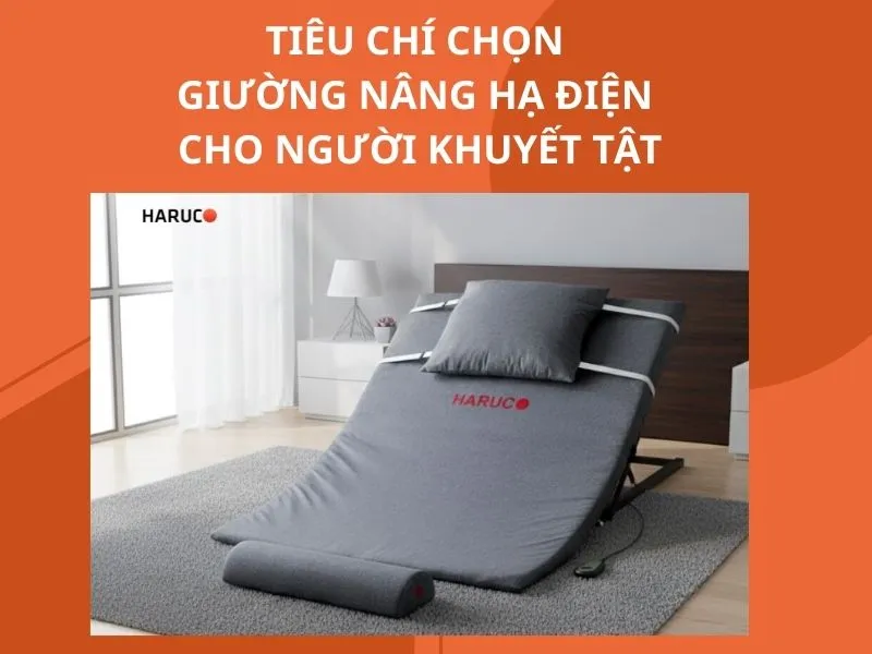 dem-nang-ha-tu-dong-haurco