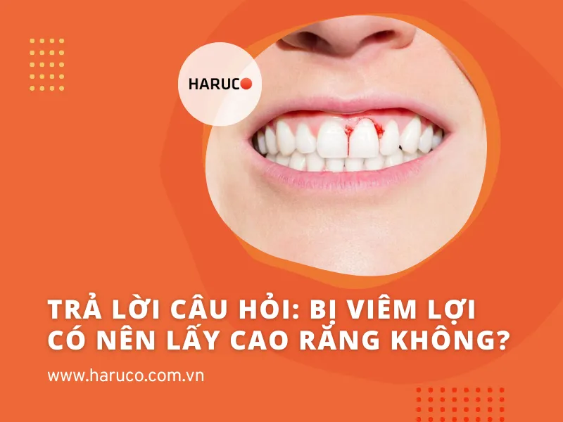 may-lay-cao-rang-haruco
