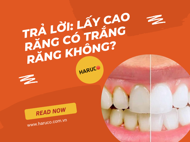 may-lay-cao-rang-haruco