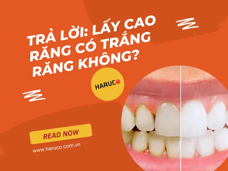 may-lay-cao-rang-haruco