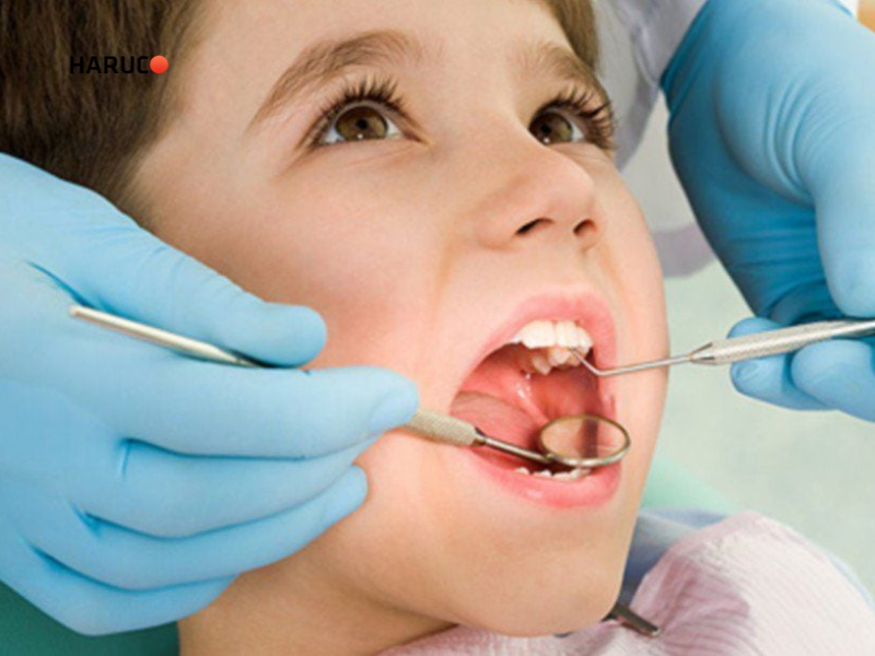 may-lay-cao-rang-haruco