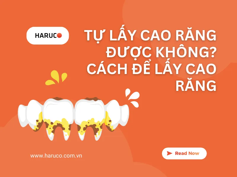 may-lay-cao-rang-haruco