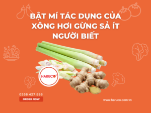 leu-xong-hoi-tai-nha-haruco