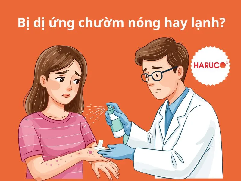 dai-gel-chuom-nong-lanh-haruco