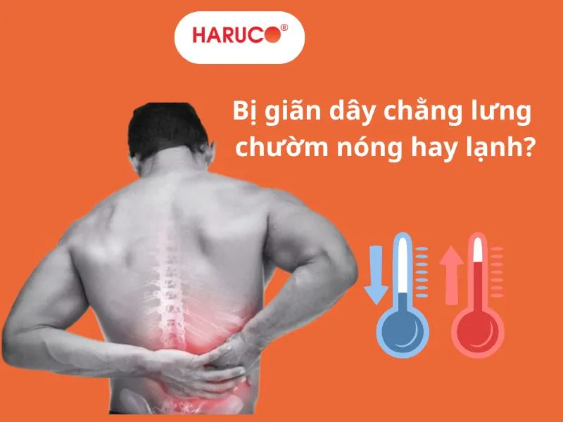 dai-gel-chuom-nong-lanh-haruco