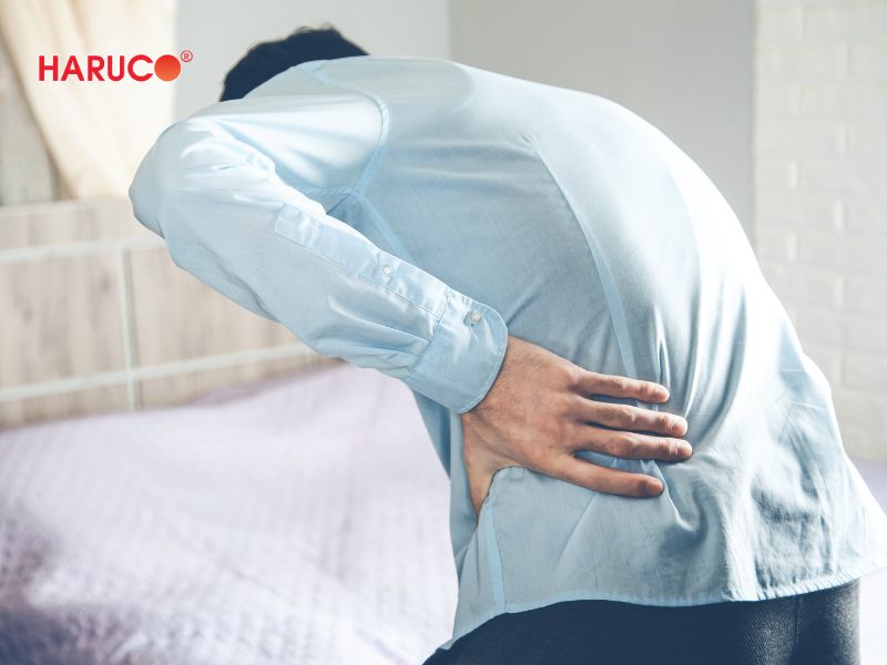 dai-gel-chuom-nong-lanh-haruco