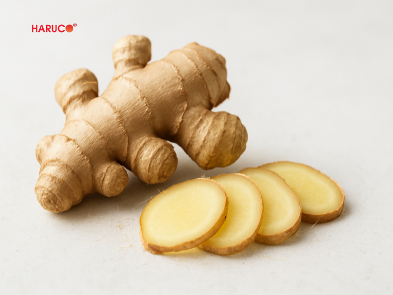 leu-xong-hoi-tai-nha-haruco