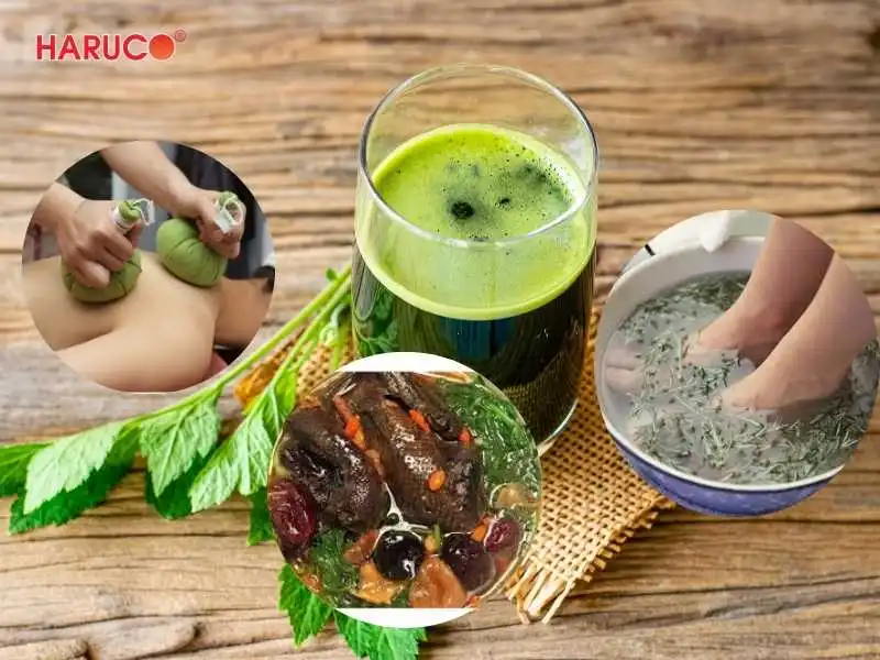 tham-ngai-cuu-dong-y-haruco