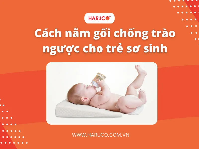 goi-chong-trao-nguoc