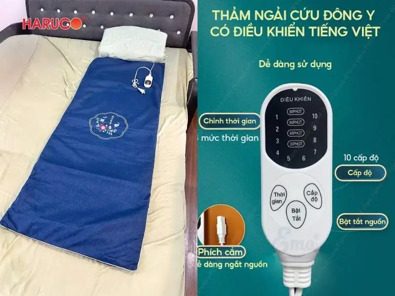 tham-ngai-cuu-dong-y-haruco