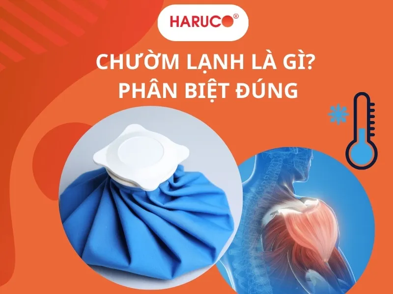 dai-gel-chuom-nong-lanh-haruco