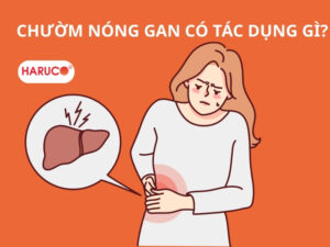 dai-gel-chuom-nong-lanh-haruco