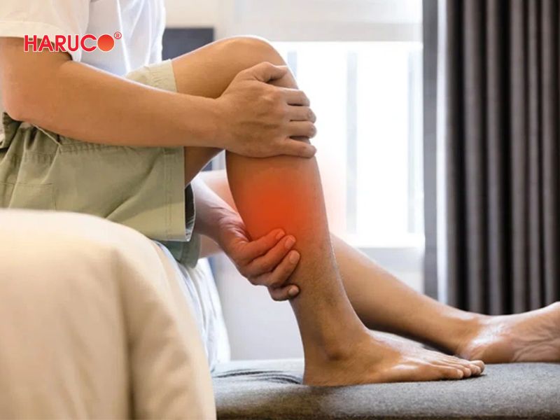 dai-gel-chuom-nong-lanh-haruco