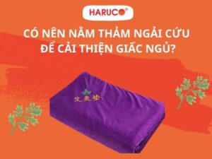 tham-ngai-cuu-dong-y-haruco