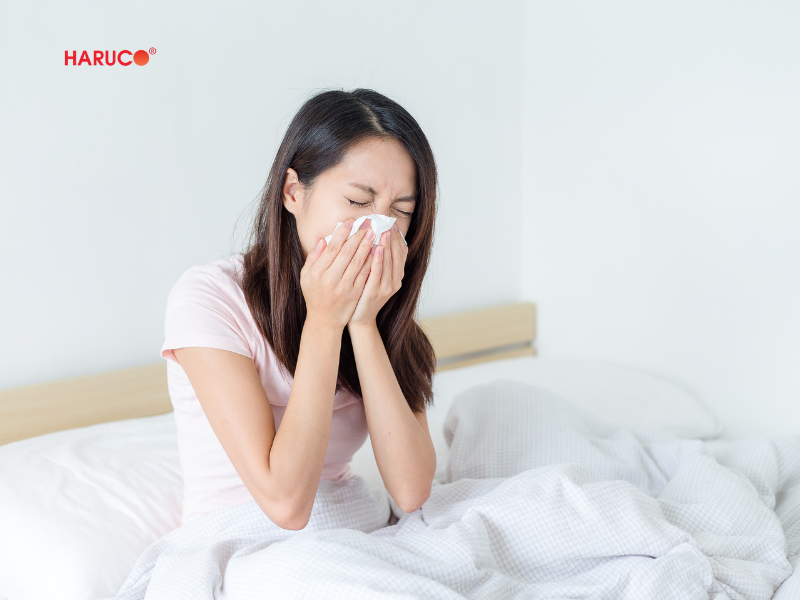 leu-xong-hoi-tai-nha-haruco