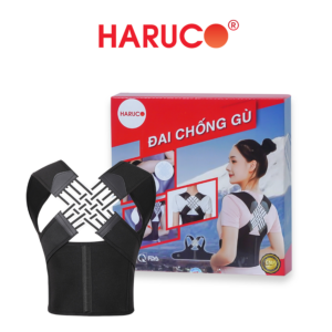 dai-lung-chong-gu-haruco